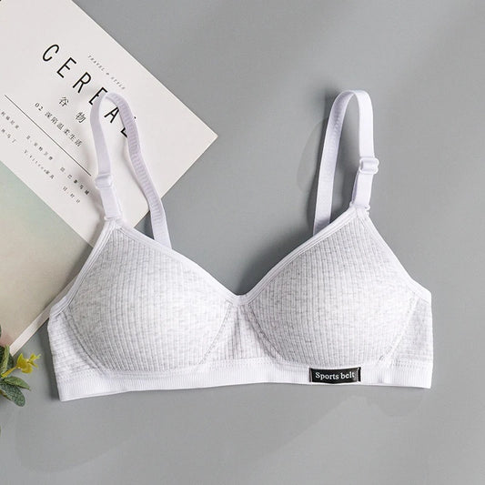 FallSweet Cotton Wireless Bra for Women Seamless Push Up Bras Comfortable V-Shaped Gathering Underwear AB Cup Intimate Lingerie