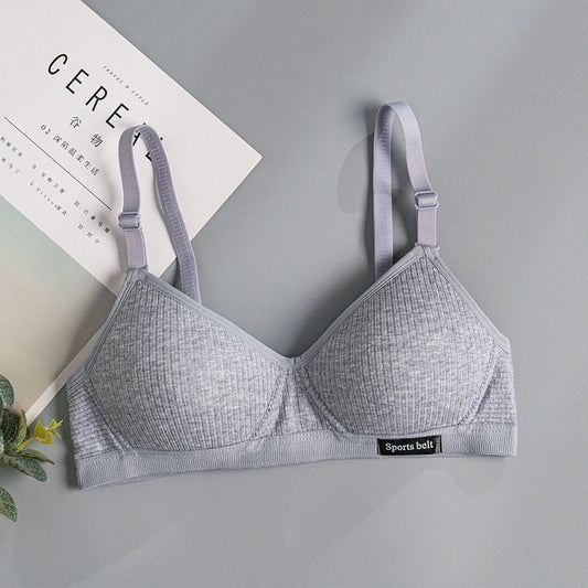 FallSweet Cotton Wireless Bra for Women Seamless Push Up Bras Comfortable V-Shaped Gathering Underwear AB Cup Intimate Lingerie